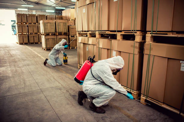 Best Emergency Pest Control  in Cienega Springs, AZ